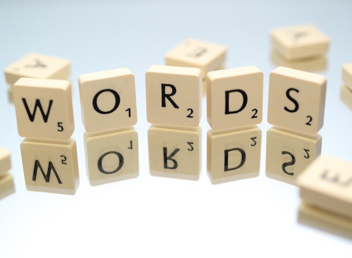 Using persuasive language and word choice